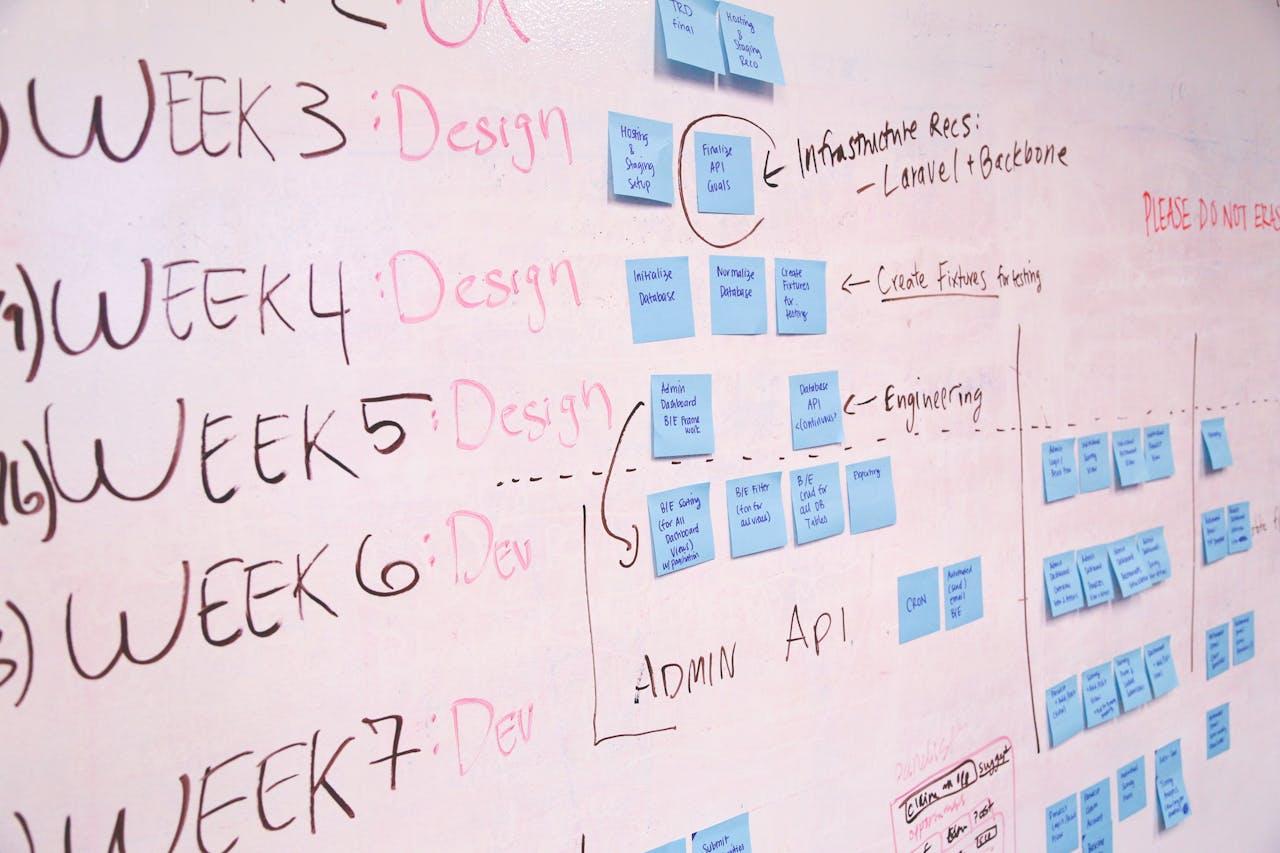 Project planning and milestones